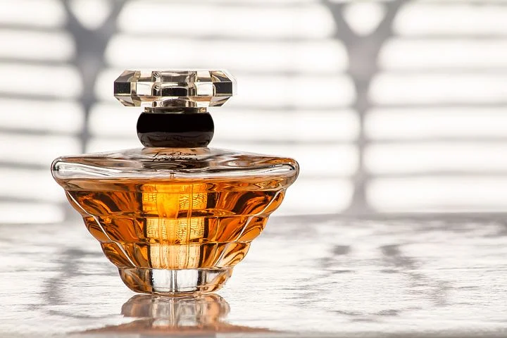 The Best Dior Perfumes for Women